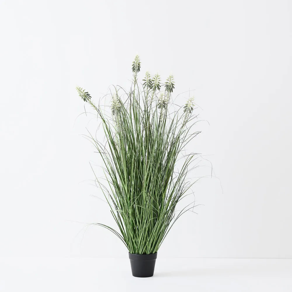 Floral Interiors | flowering agave grass plant | green white