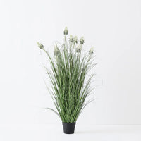 Floral Interiors | flowering agave grass plant | green white