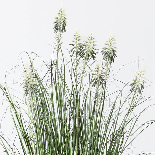 Floral Interiors | flowering agave grass plant | green white