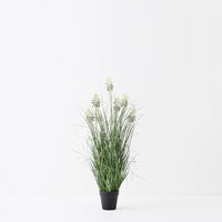 Floral Interiors | flowering agave grass plant | green white