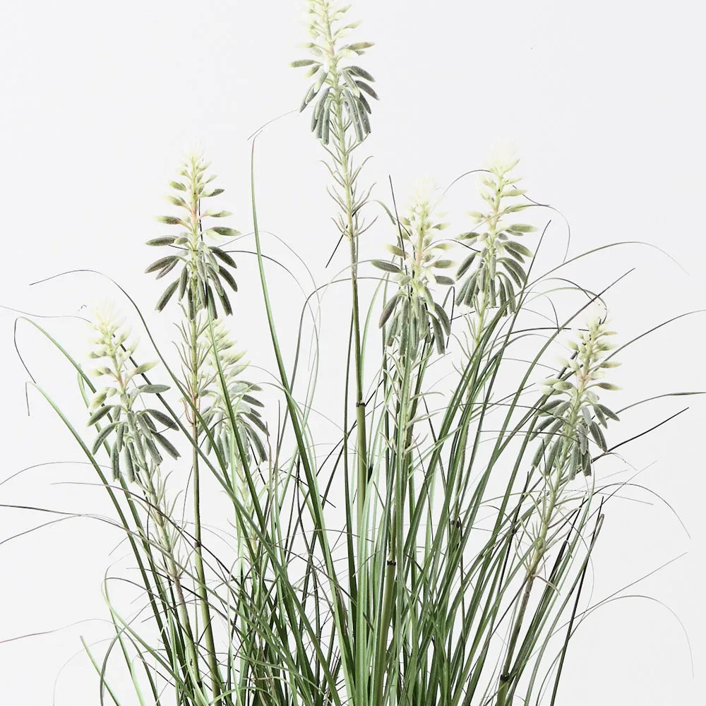 Floral Interiors | flowering agave grass plant | green white