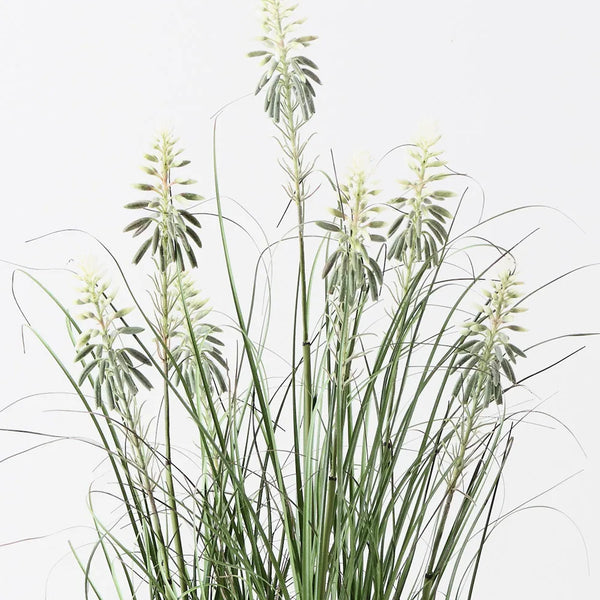 Floral Interiors | flowering agave grass plant | green white