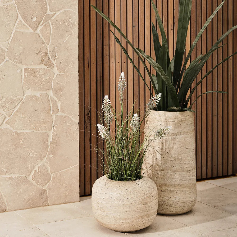Floral Interiors | flowering agave grass plant | green white