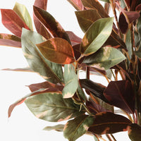 Floral Interiors | laurel plant | green burgandy