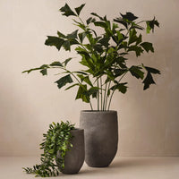 Floral Interiors | acacia leaf trailing plant | green