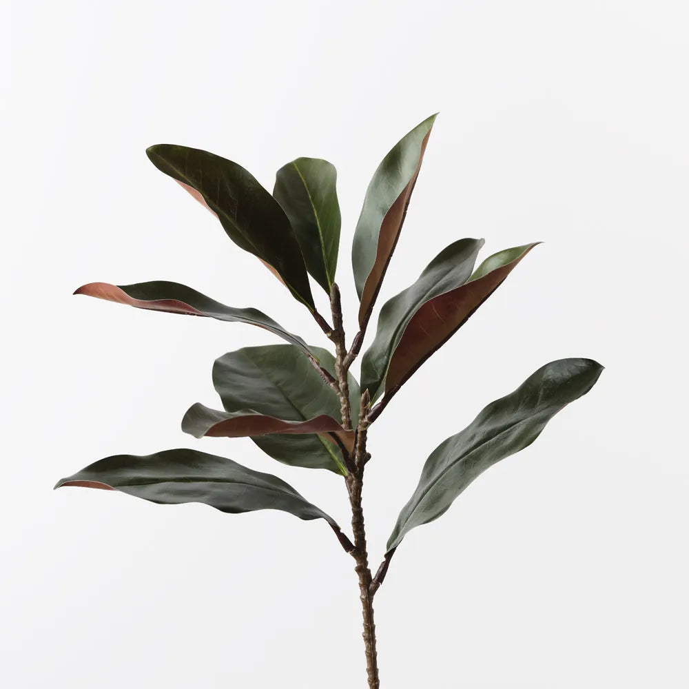 Floral Interiors | Magnolia Leaf Spray | Green