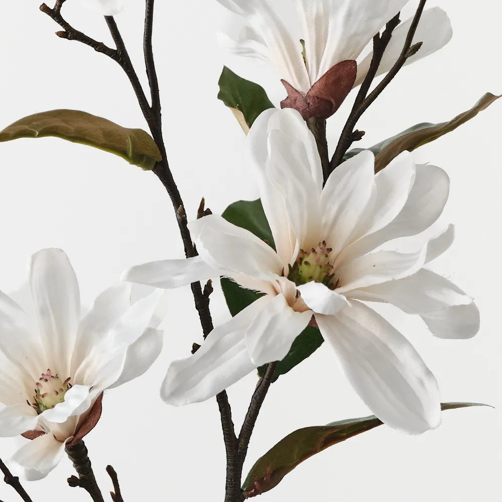 Floral Interiors | Magnolia Tree Spray | White