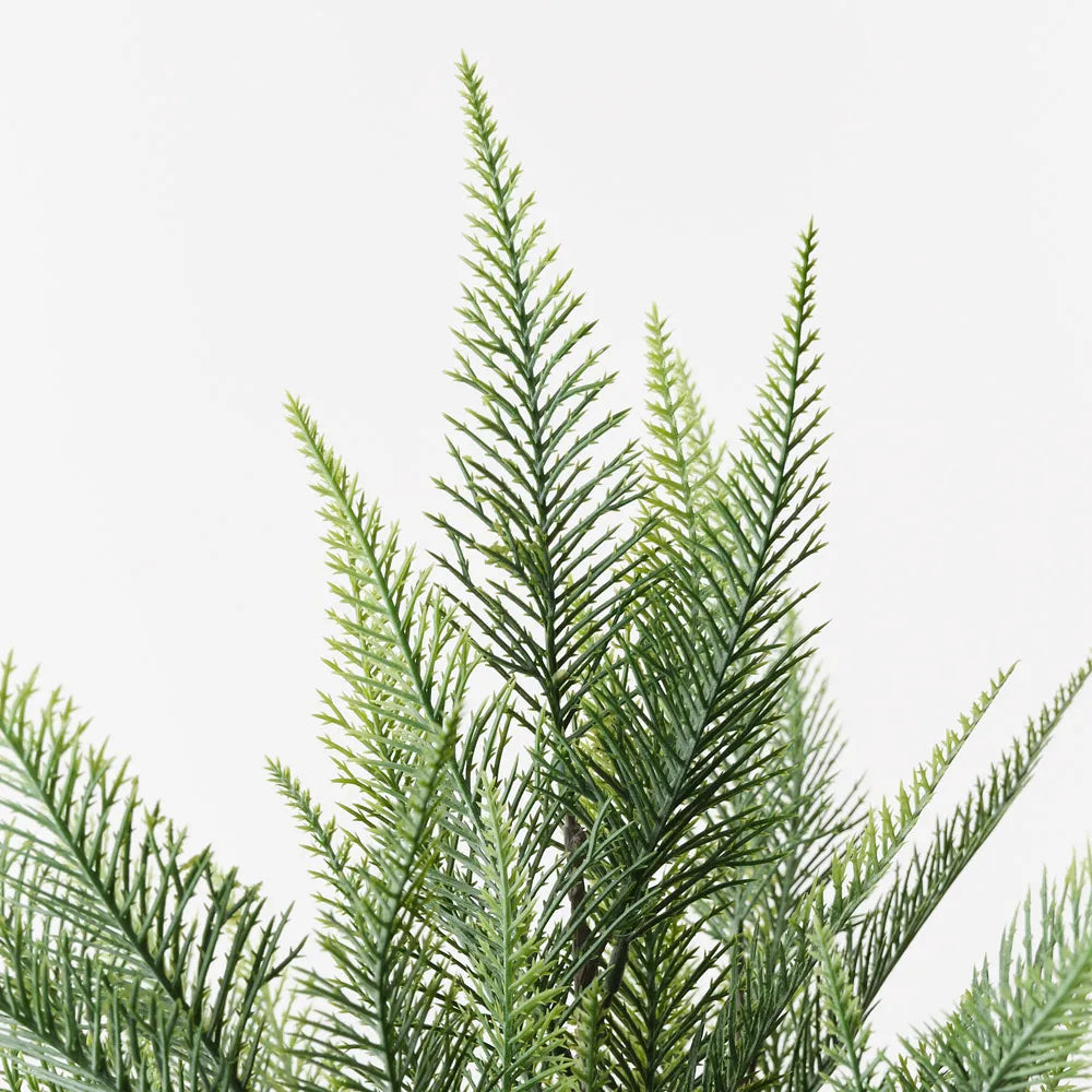 Floral Interiors | Fern Bush | Grey Green