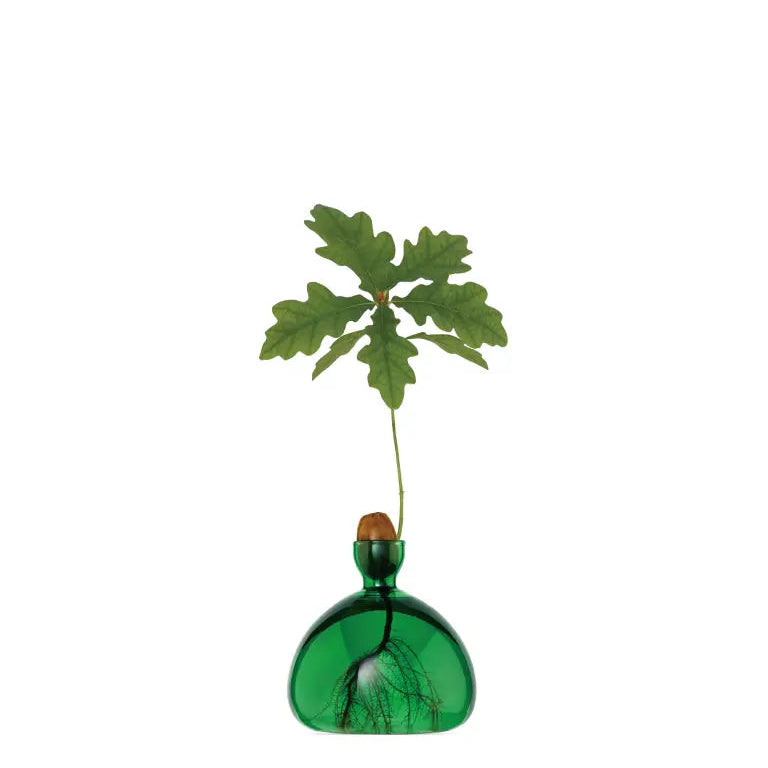 mondocherry - Ilex Studio | Acorn Vase | Emerald Green