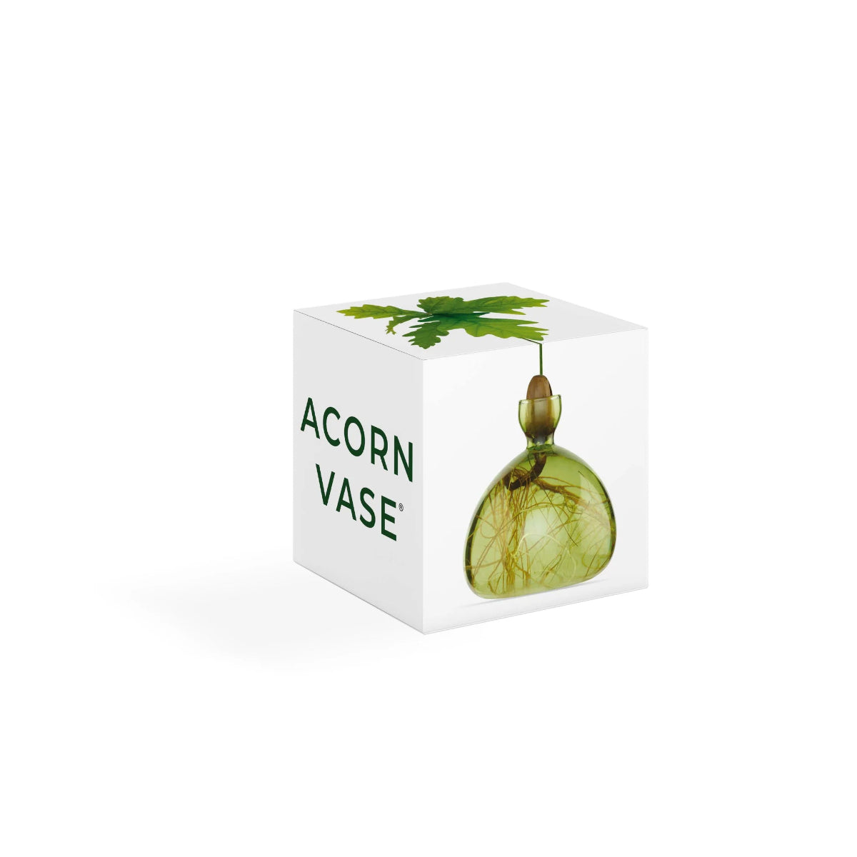 mondocherry - Ilex Studio | Acorn Vase | Grass Green