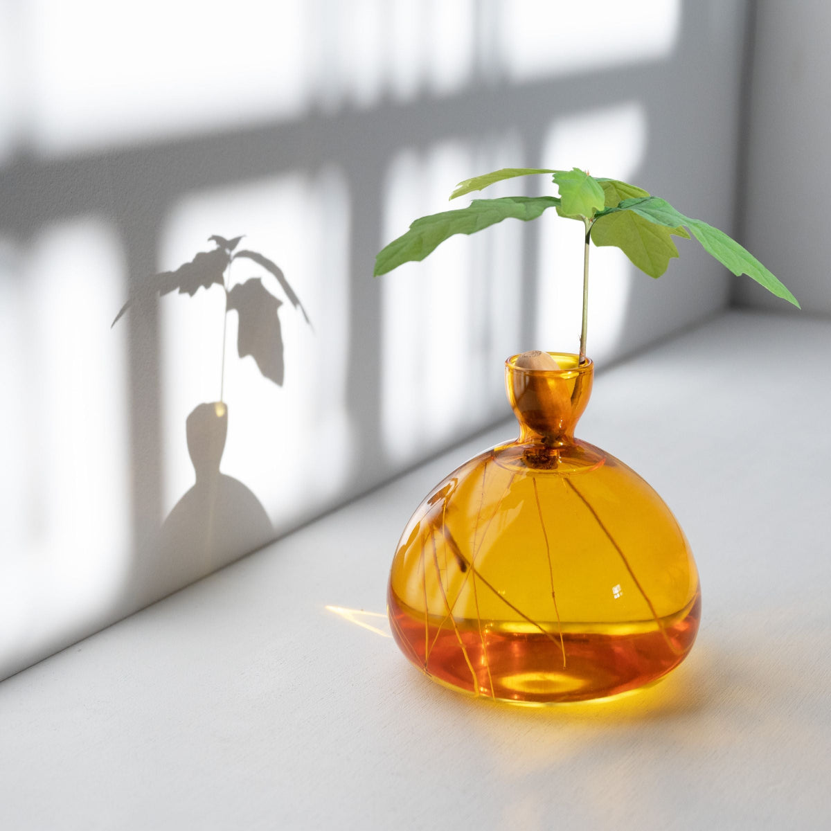 mondocherry - Ilex Studio | Acorn Vase | Yellow - shelf