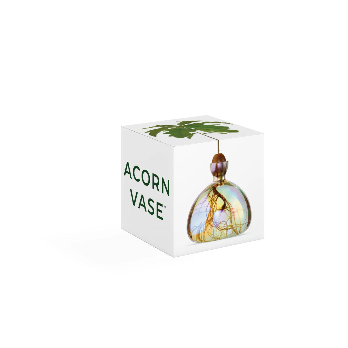 mondocherry - Ilex Studio | Acorn Vase | Cosmic Astra - box
