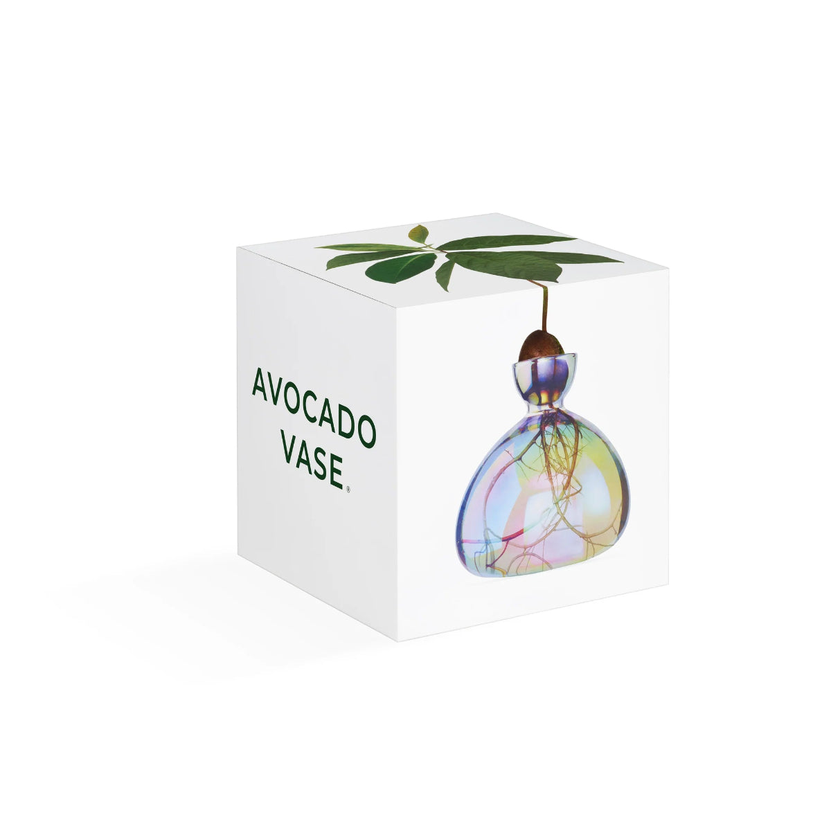 mondocherry - Ilex Studio | Avocado Vase | Cosmic Astra - box