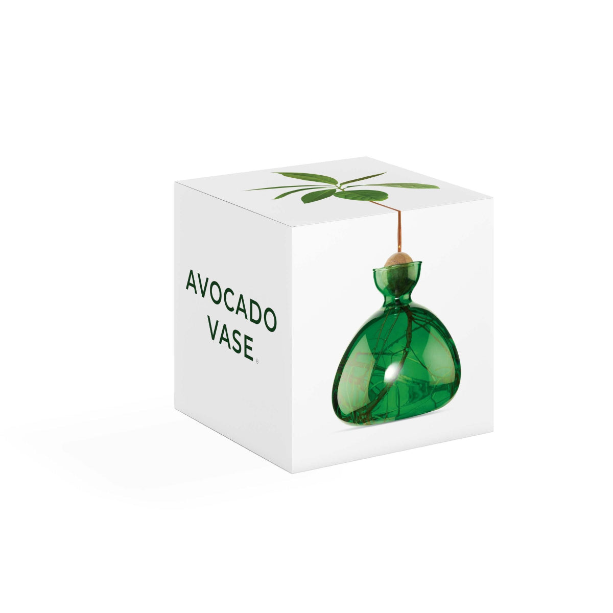 mondocherry - Ilex Studio | Avocado Vase | Emerald Green - box