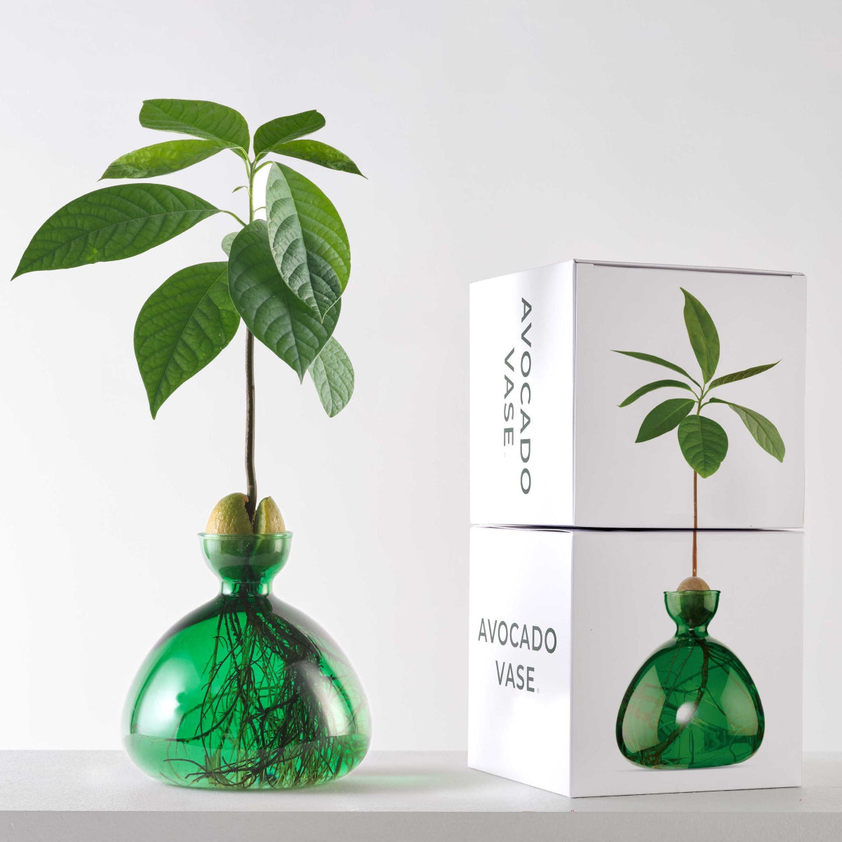 mondocherry - Ilex Studio | Avocado Vase | Emerald Green - display