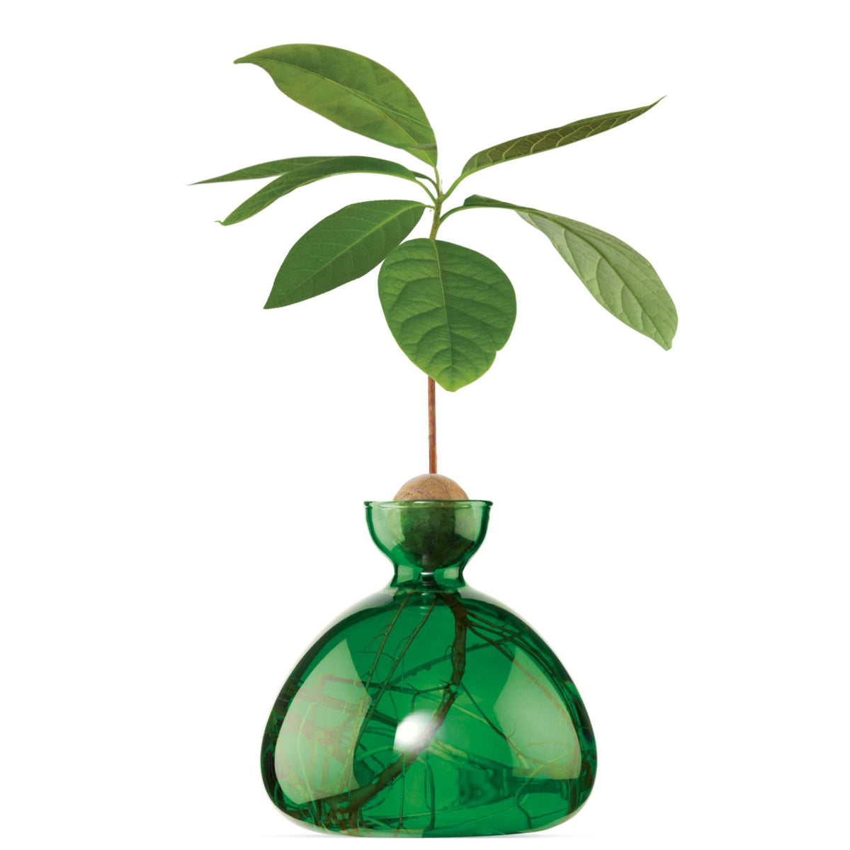 mondocherry - Ilex Studio | Avocado Vase | Emerald Green