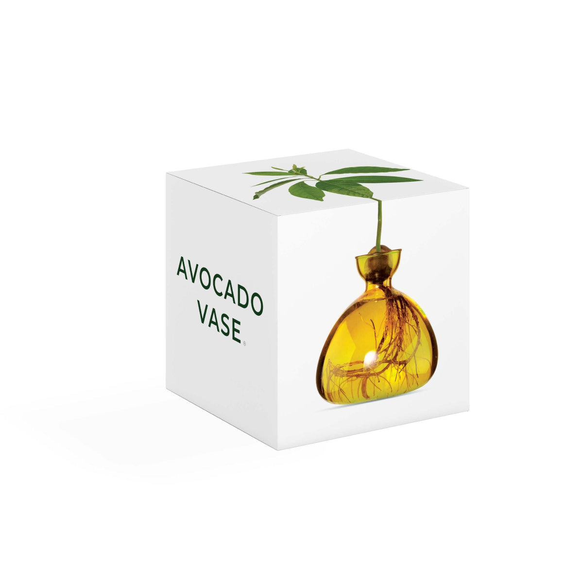 mondocherry - Ilex Studio | Avocado Vase | Mellow Yellow - box