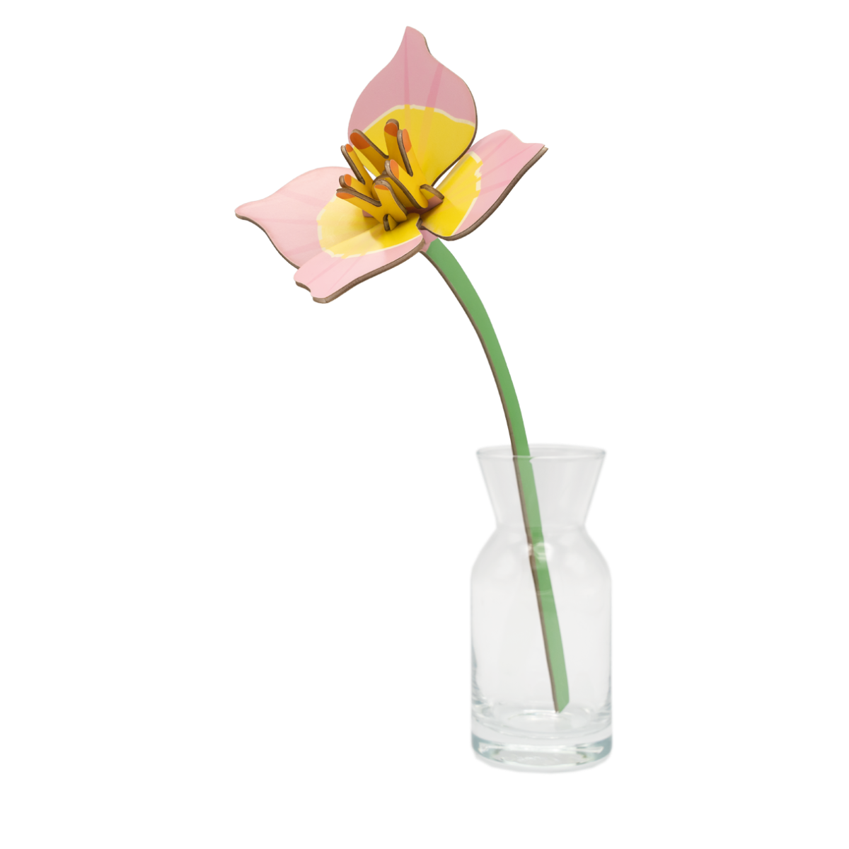 mondocherry - Studio Roof | everlasting flowers | blushing tulip