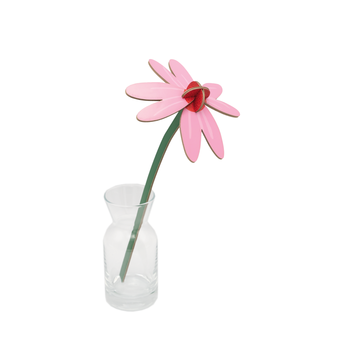mondocherry - Studio Roof | everlasting flowers | pink coneflower