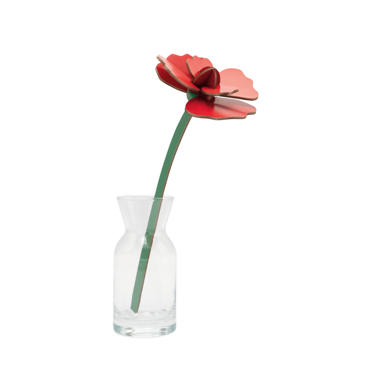 mondocherry - Studio Roof | everlasting flowers | red rose
