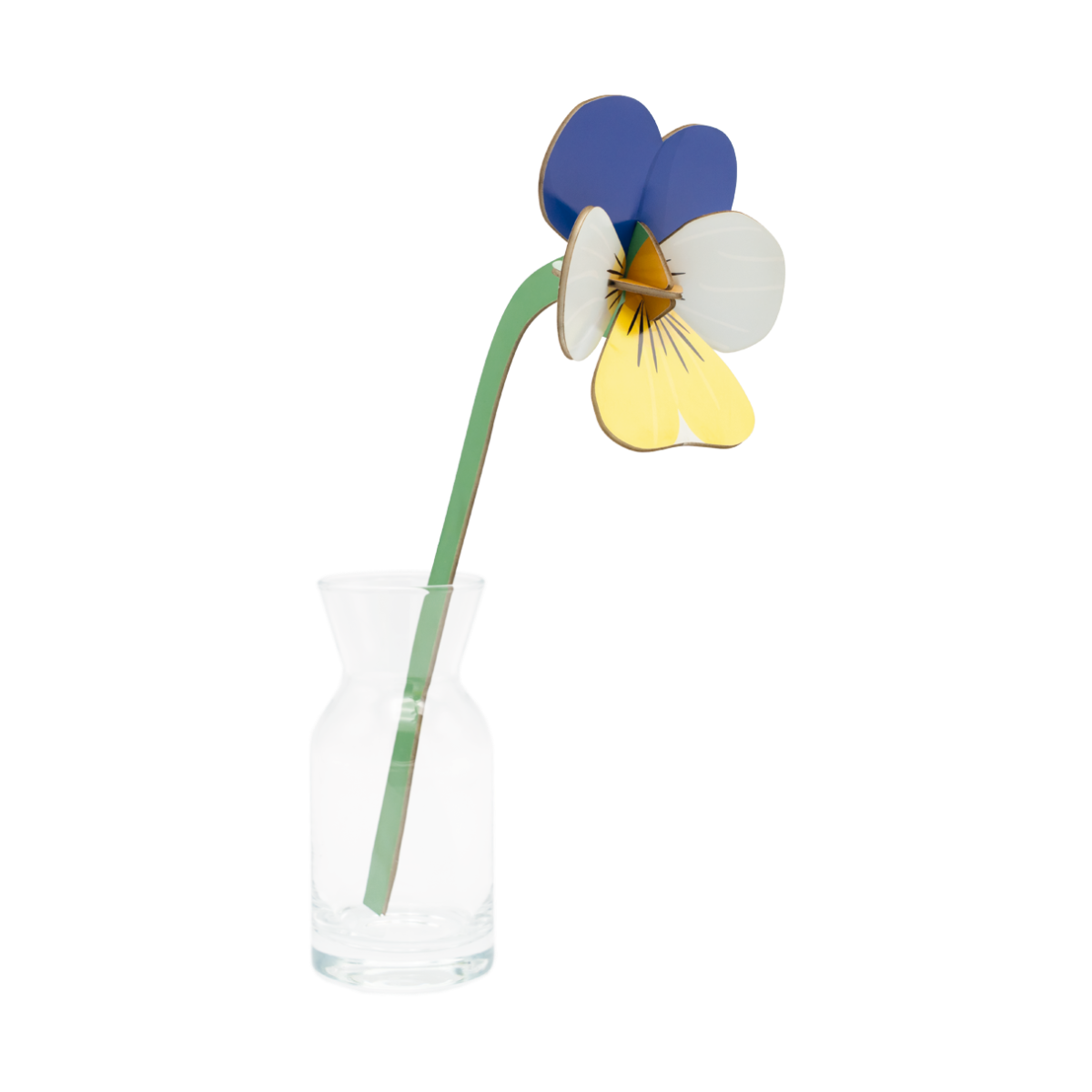 mondocherry - Studio Roof | everlasting flowers | wild pansy