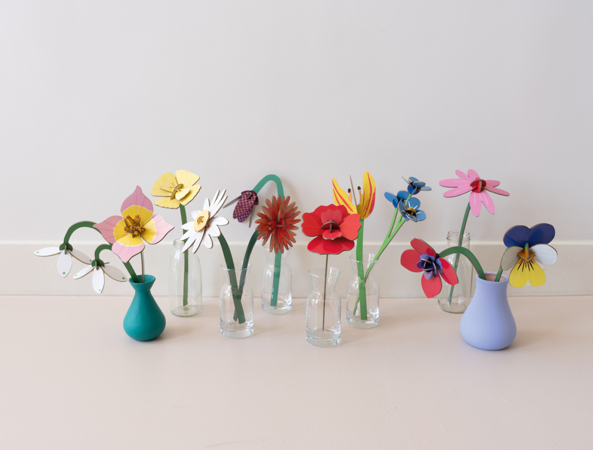mondocherry - Studio Roof | everlasting flowers collection