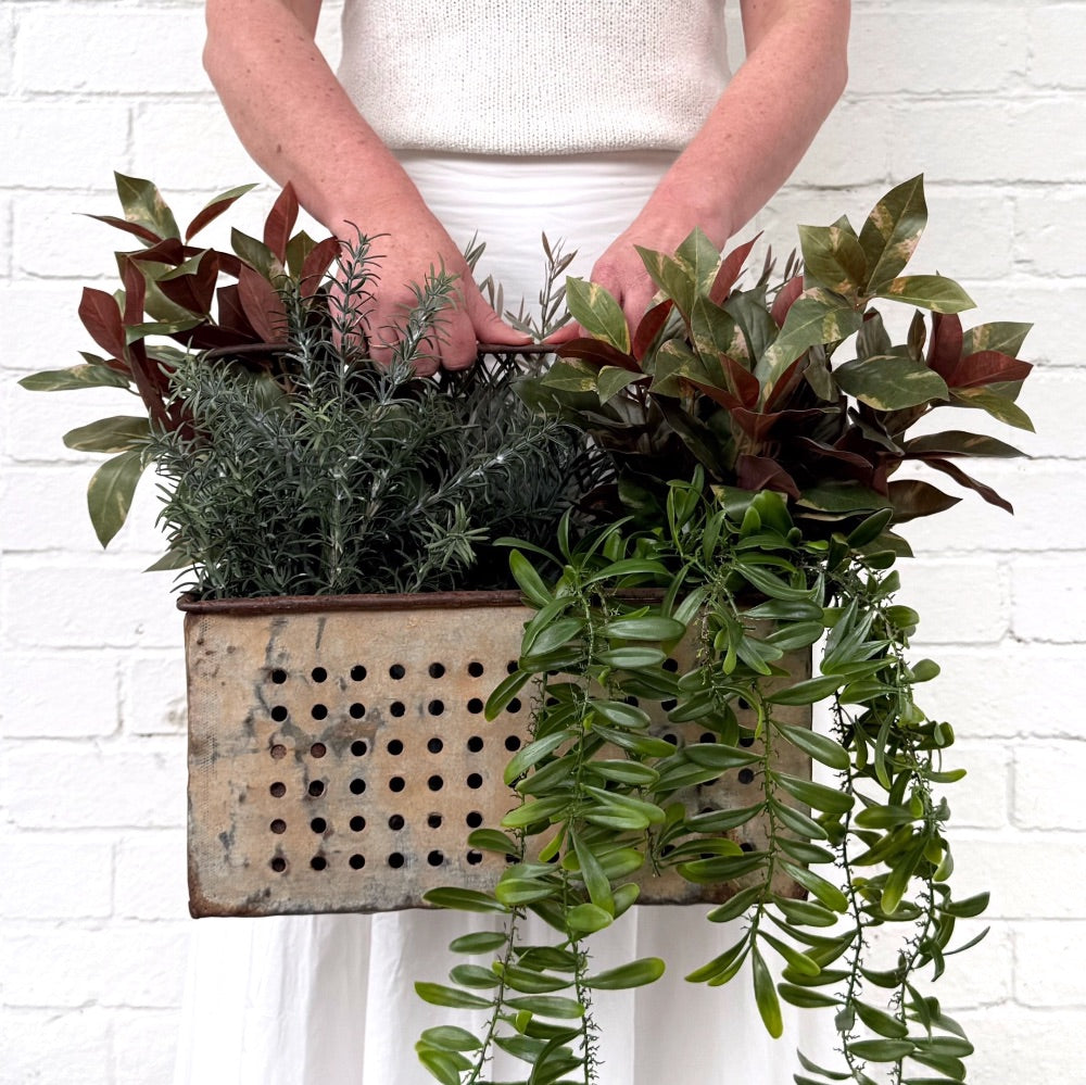 Hands holding box of various green plants.