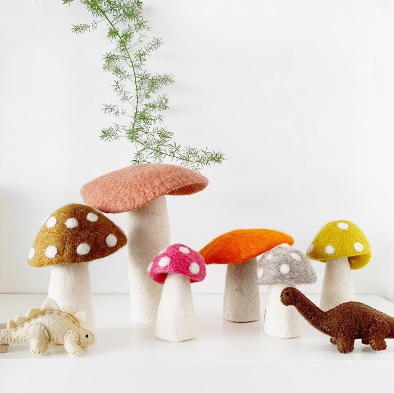Colourful felt mushrooms and toy dinosaurs on a shelf