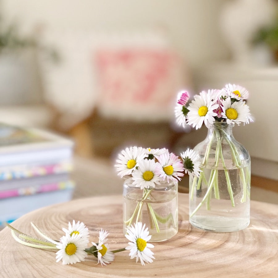 Daisies displayed in glass vases on a wooden table