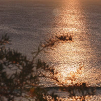 mondocherry - Etikette room mist | freycinet coastal moss & sea salt - sea