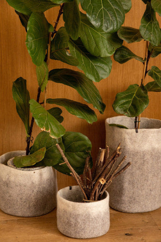 Muskhane | bicolour felt calabash | light stone natural | high - plants
