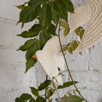 mondocherry - Muskhane | felt bird trio wall hanging | natural - tree