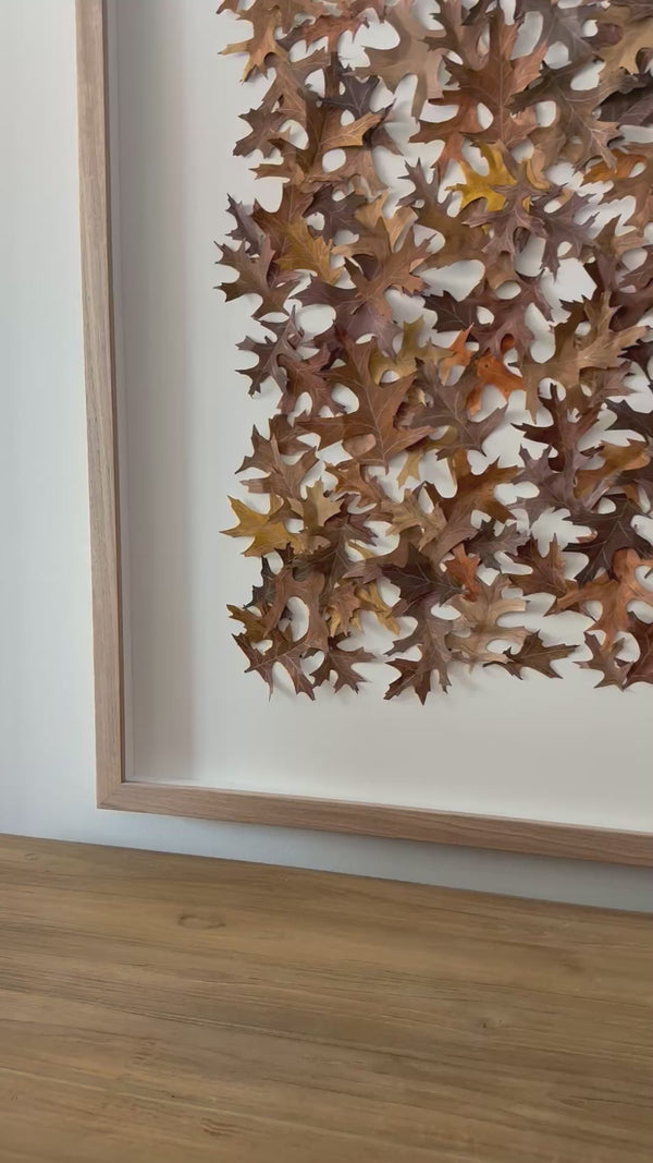 mondocherry - paper wall art artwork Beechworth - video
