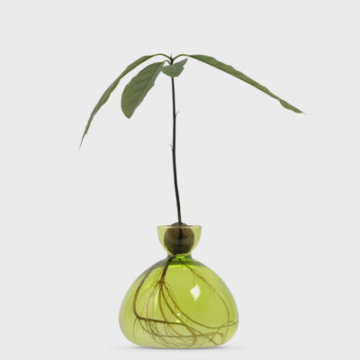 mondocherry - Ilex Studio | Avocado Vase | Grass Green - timelapse