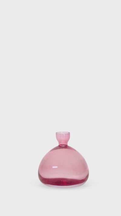 Acorn vase rose pink timelapse