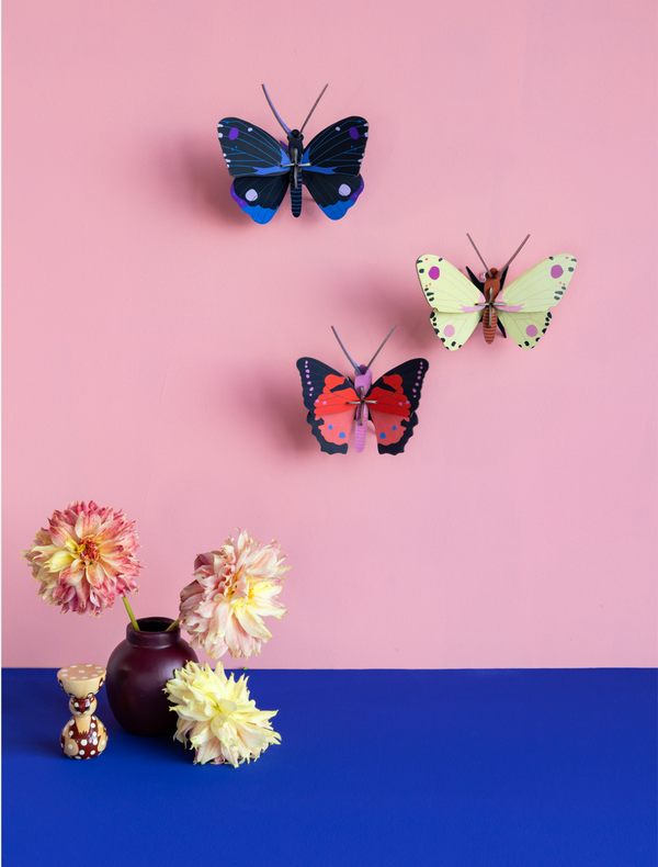mondocherry - Studio Roof | blue diadem butterfly wall decor - wall