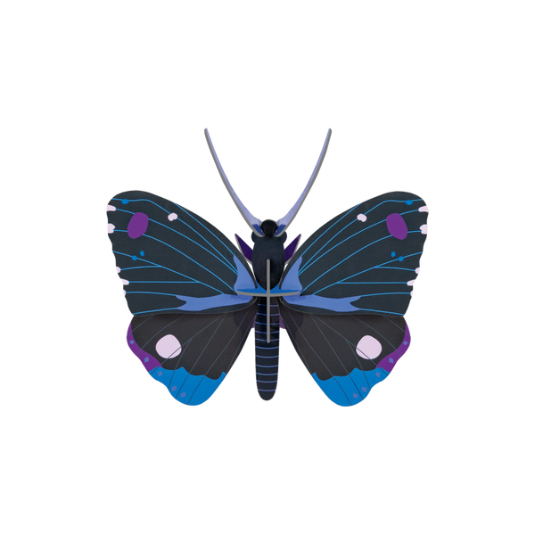 mondocherry - Studio Roof | blue diadem butterfly wall decor