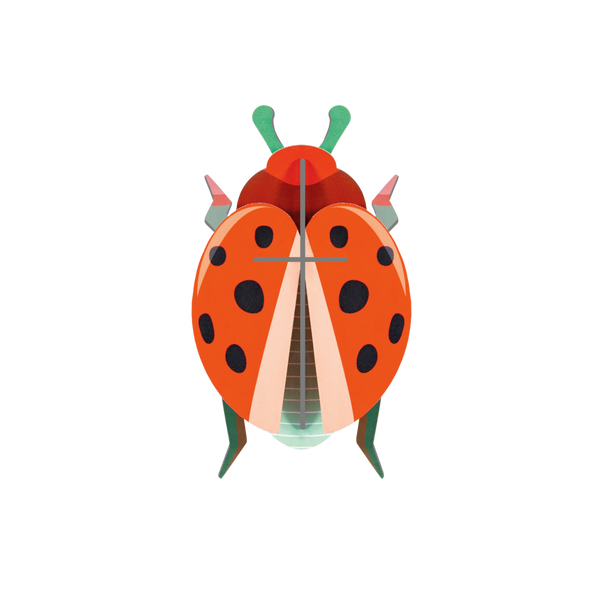 mondocherry - Studio Roof | coccinelle rouge beetle wall decor