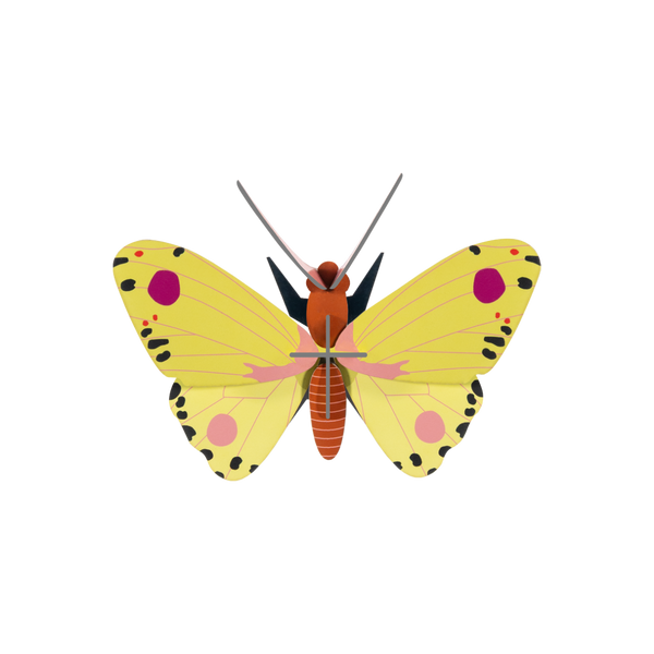 mondocherry - Studio Roof | luzerne butterfly wall decor