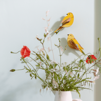 Studio Roof | garden birds citrinella pair wall decor - display