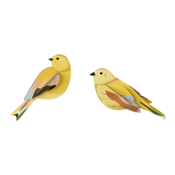 Studio Roof | garden birds citrinella pair wall decor