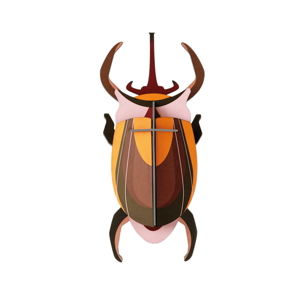 Studio Roof | elephant beetle wall decor