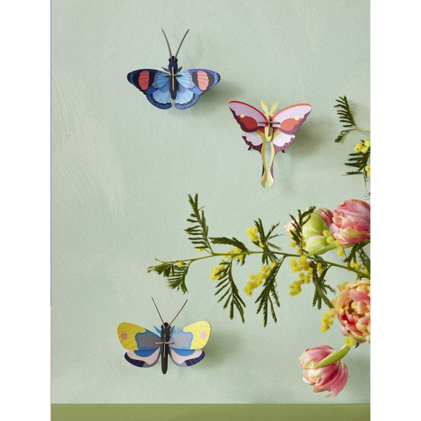 mondocherry - Studio Roof | lilac comet butterfly wall decor - display