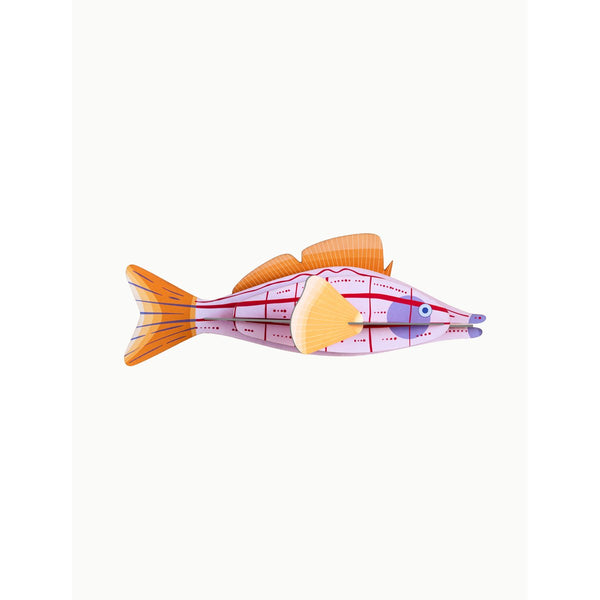 mondocherry - Studio Roof | longnose hawkfish wall decor