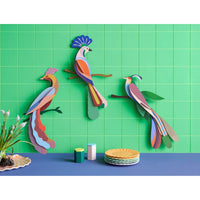 Studio Roof | paradise bird tinjil wall decor - display