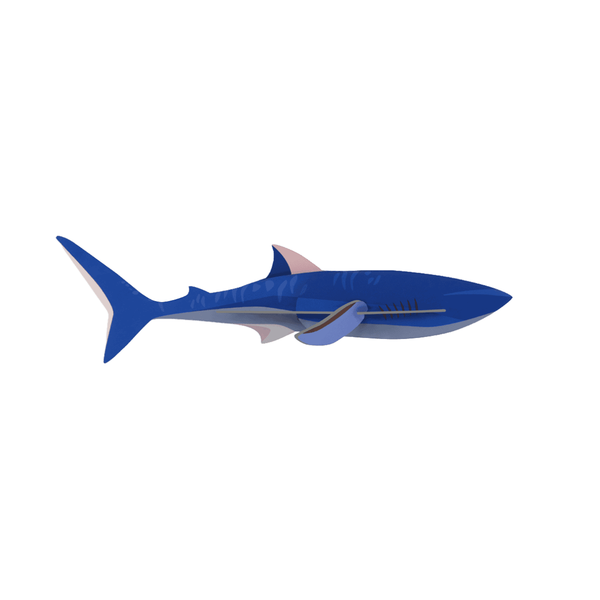 mondocherry - Studio Roof | shark wall decor
