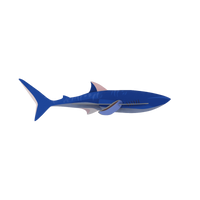 mondocherry - Studio Roof | shark wall decor