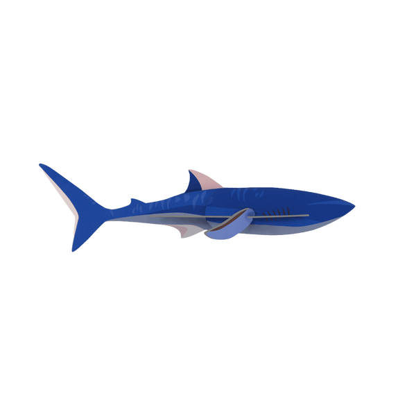 mondocherry - Studio Roof | shark wall decor