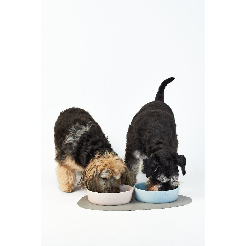 mondocherry - Lilly + Dash | ceramic dog bowl | pink - eating