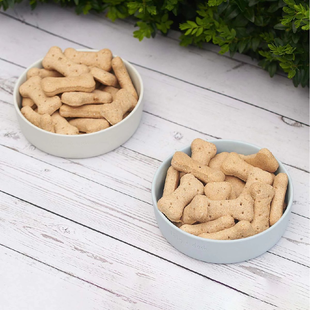 mondocherry - Lilly + Dash | ceramic dog bowl | cloud - biscuits